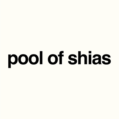 Pool of Shias - Data Visualization on Muslim Dating branding data visualization ui web design