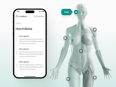 medilens: AI Medical Diagnostics & Imaging - Interactive Anatomy 3d anatomy 3d human anatomy ai diagnosis website ai diagnostics ai medical diagnostics ai medical imaging biotech landing page biotech web design biotech website clean diagnostics website medical diagnosis medical imaging medical imaging website minimal modern responsive smart diagnostic smart health website teal