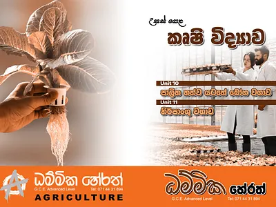 Cover Page Design design flyer design graphic design photoshop