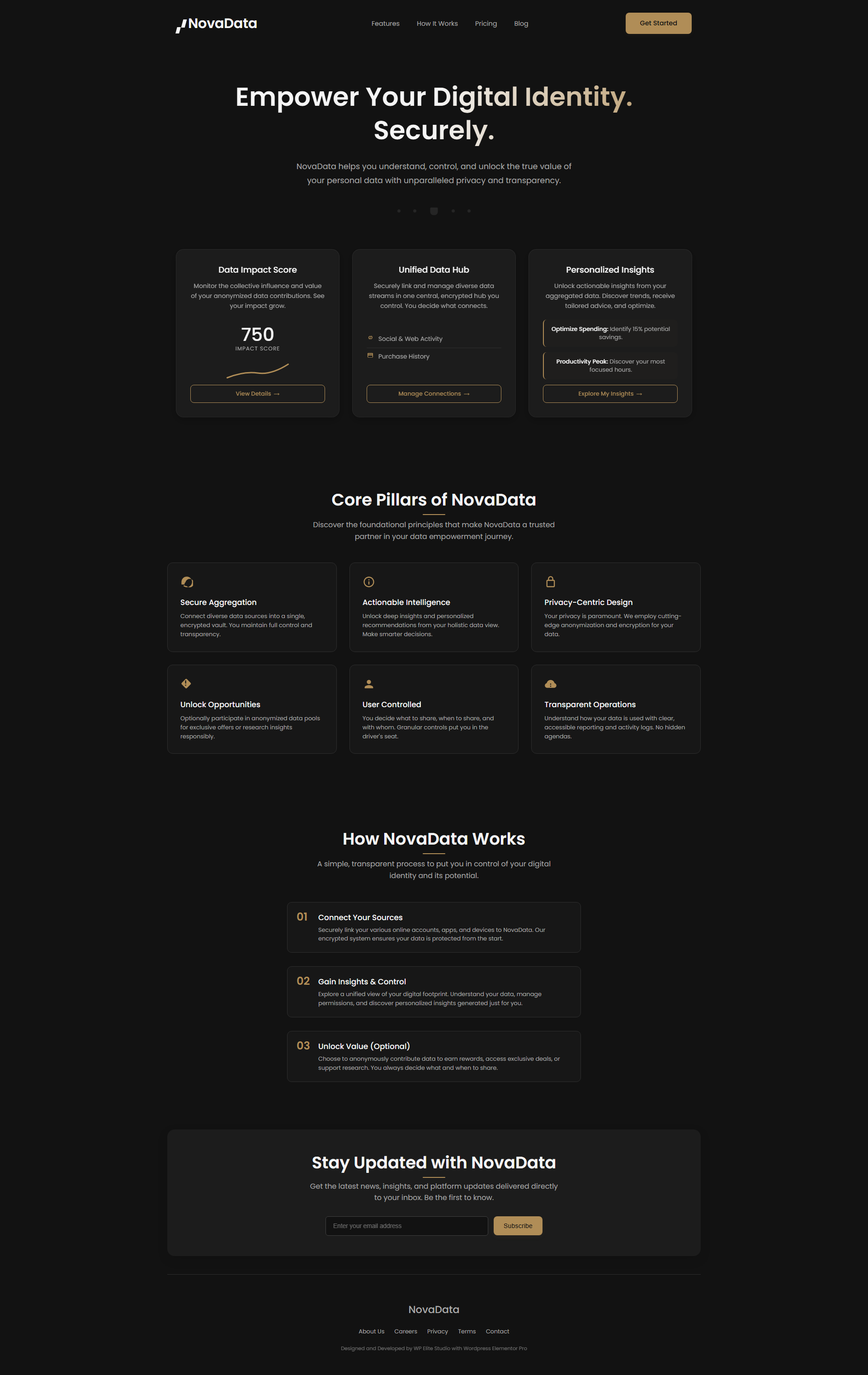 Modern Data Privacy Landing Page Designed in Elementor business darkui darkwebsite elementorpro landingpage landingpagedesign landingpagemobile landingpageui landingpagewebsite modernlandingpage modernui responsivedesign security ui wordpress