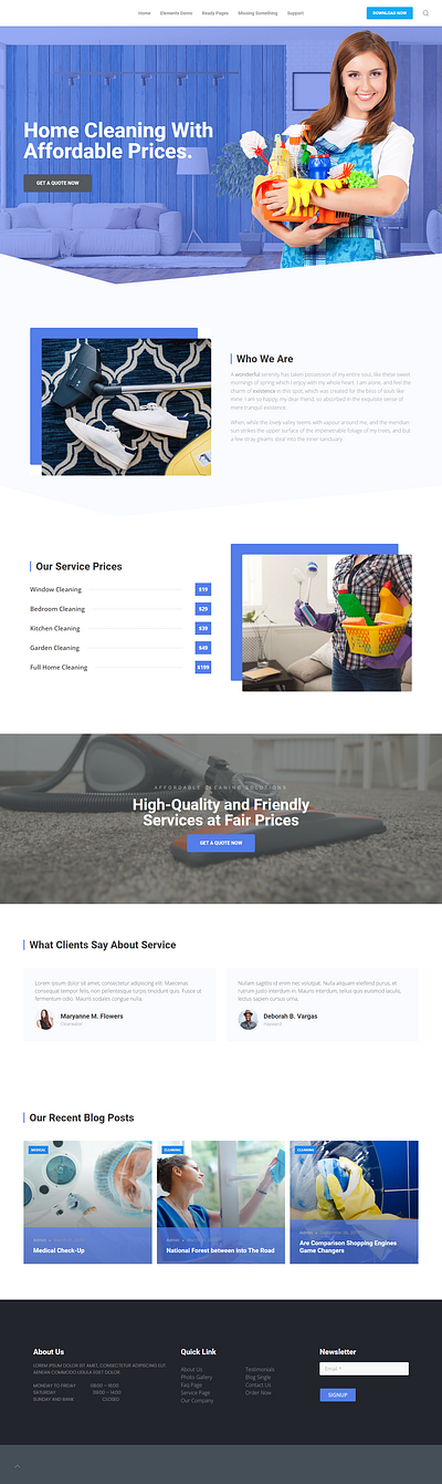 Professional Home Cleaning Services WordPress Website cleaning cleaning company website cleaning landing page website cleaning services website cleaning website design cleaning wordpress website home cleaning services website web design