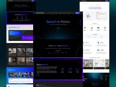 Auxinova Technology – Where SaaS Meets Style animation branding cms development illustration it react saas ui website