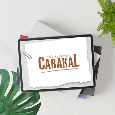 logo brand branding branding business design graphic design logo