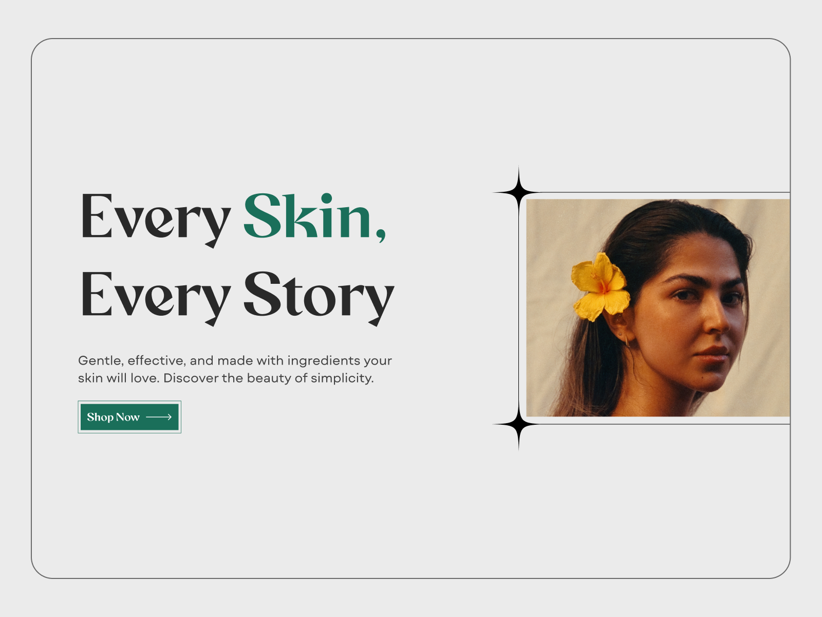 Example of E Commerce Design & Development