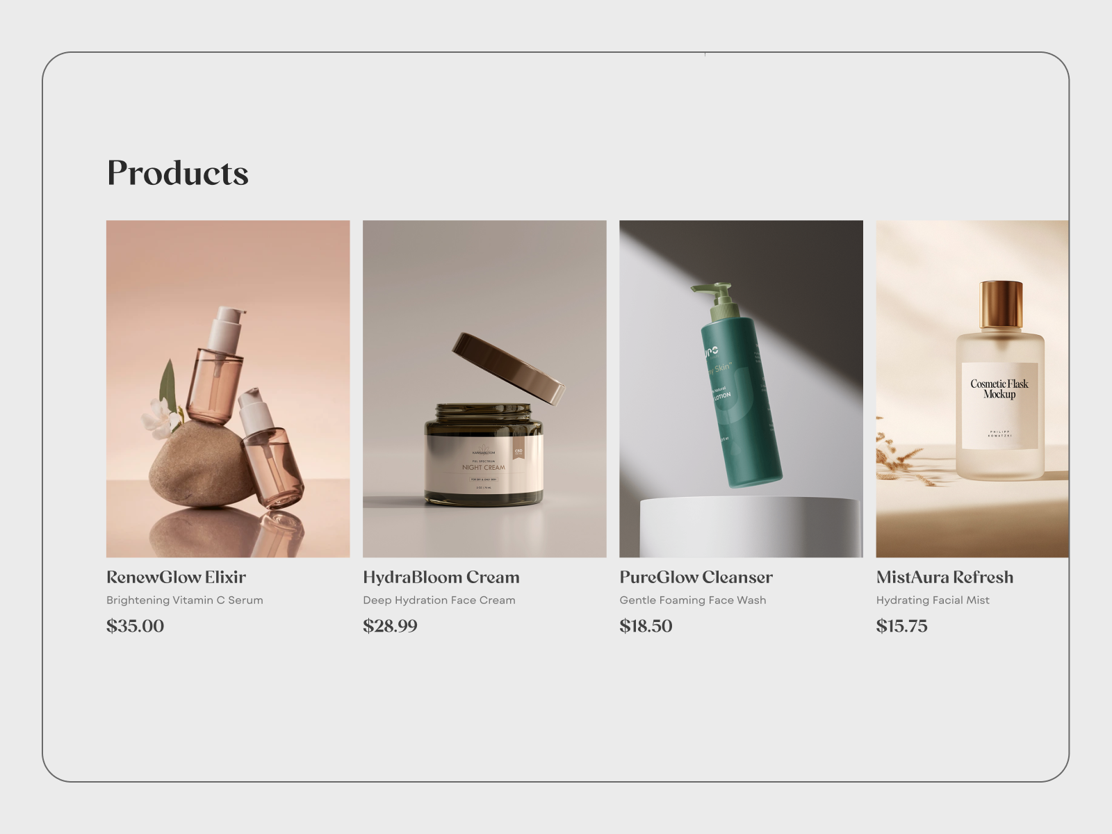 Example of E Commerce Design & Development