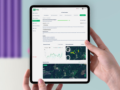 Forest DeCarb - Biomass Data Analysis Platform animation branding design graphic design illustration mobile app ui ux vector