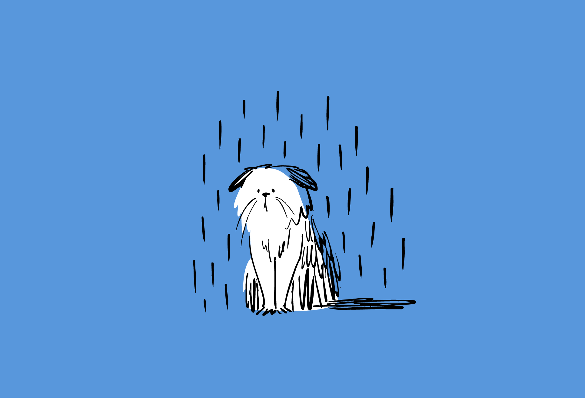 🌧️🐈 Baltic weather 2d art cat characterdesign expressive flat illustration illustration loose style minimalistic sketchy