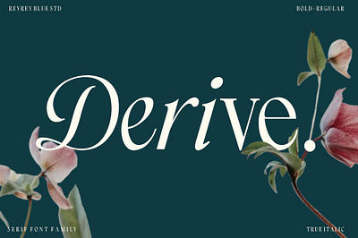 Derive – A Timeless Serif Font Family with Elegant Italics branding dont classy font font retro font serif font typography vintage font