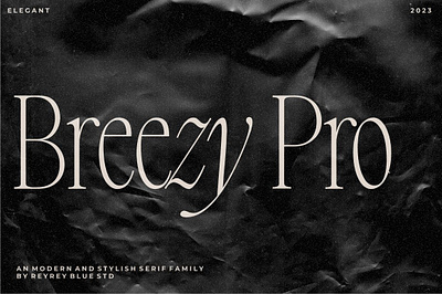 Breezy Pro – Modern Elegance in a Stylish Serif Font Family branding font cool font display display font font retro romantic font typography