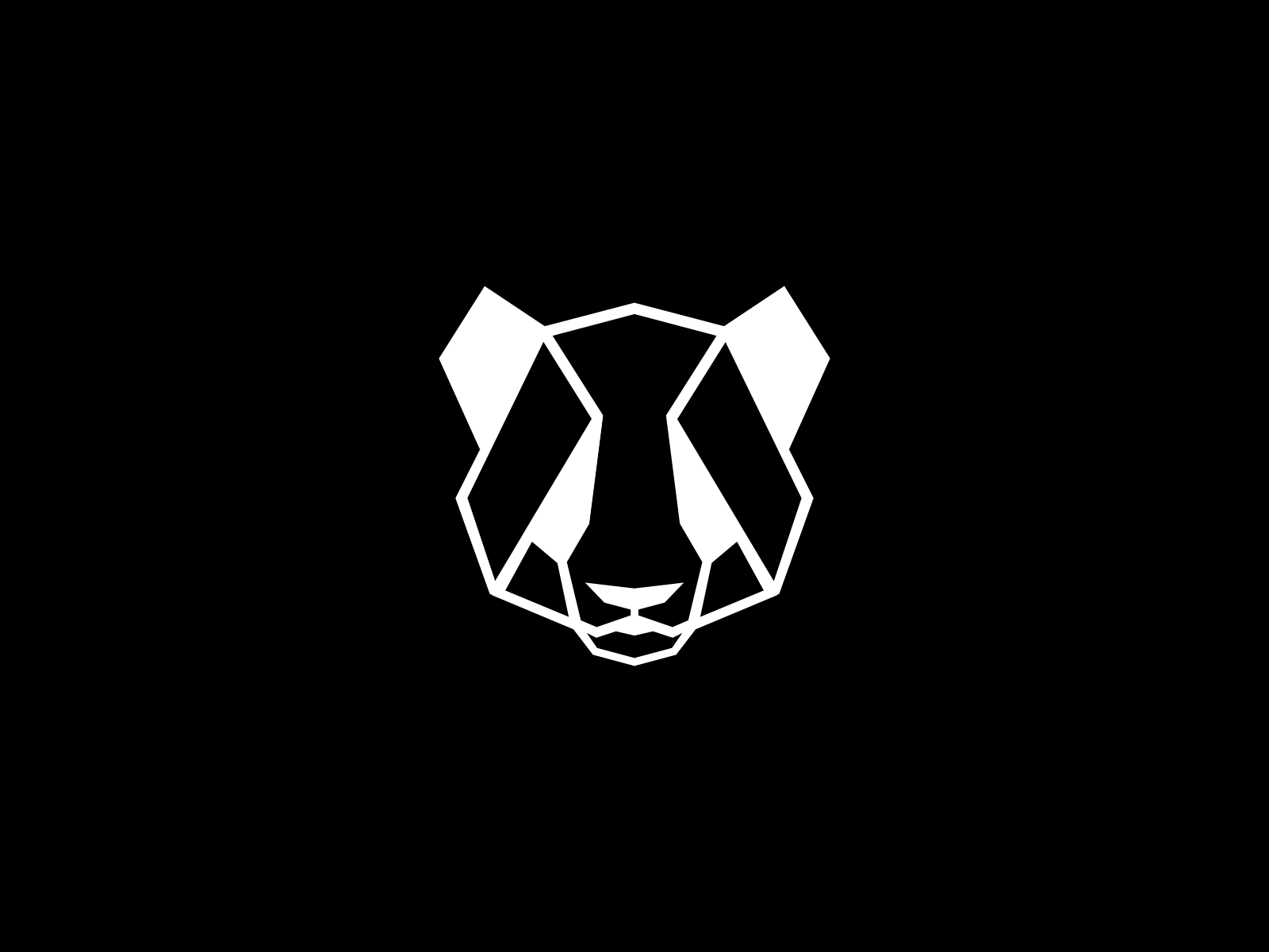 Negro Oscuro Logo Animation animal animation geometric graphic design hexagon logo motion graphics panda