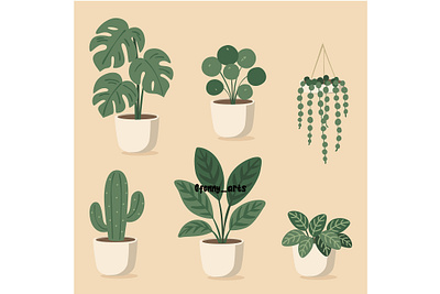 Assorted Indoor Potted Plants Collection bloom botanic botanical daisy floral flower foliage garden greenery house indoor leaf leaves nature ornament plant pot spring vase wood