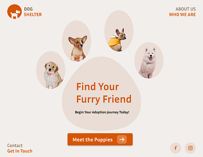 UX/UI Landing page| Pet adoption adoption design graphic design landing page pet pet adoption uxui