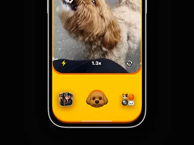 Camera App app design illustration ios mobile ui uidesign ux