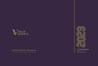 Value Experts | Company Profile agency brand brand messaging brand positioning branding company profile creative agency design graphic design illustration logo profile real estate ui