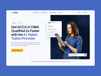 Viva Web Design accountant blue design hero ui ux web design