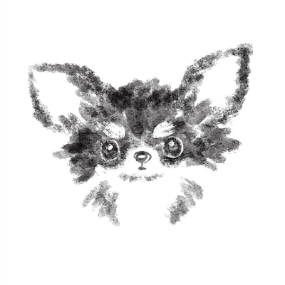 Chihuahua Portrait animal character character design chihuahua cute dog illustration kawaii pet puppy