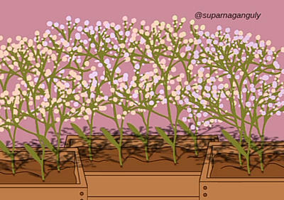 Dream garden animation animation branding graphic design logo motion graphics ui