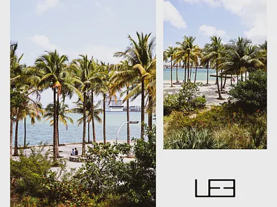 Pamphlet artwork branding desing pamphlet