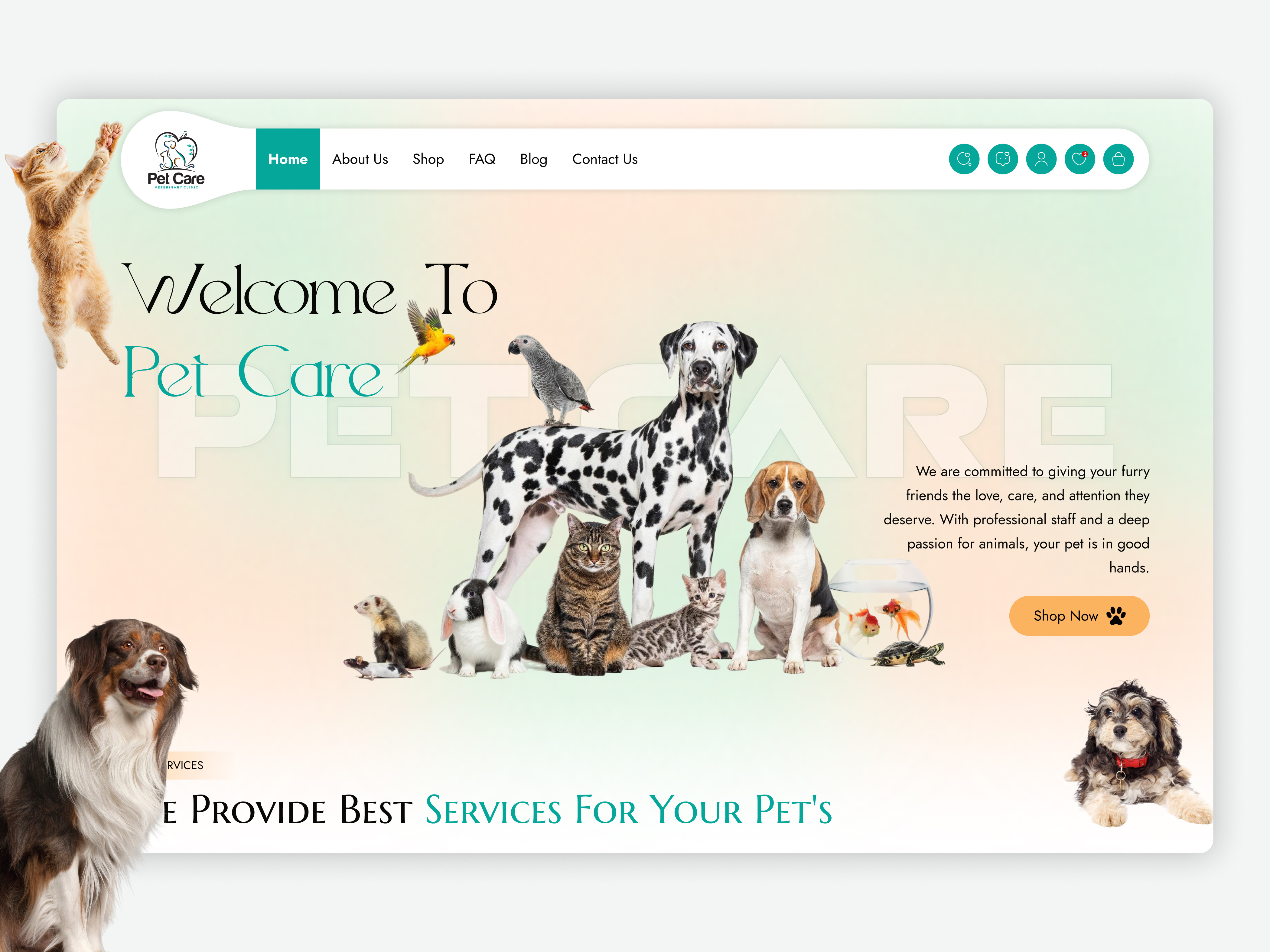 Pet Care Veterinary Clinic Website company website design website figma figma design figma design website figma website figma website design framer website funnelish google sites google sites website saas landing page ui website design webpage website website design website development website mockup website ui ux website ui ux design