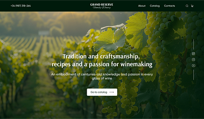 Concept Family Winery concept design design web web
