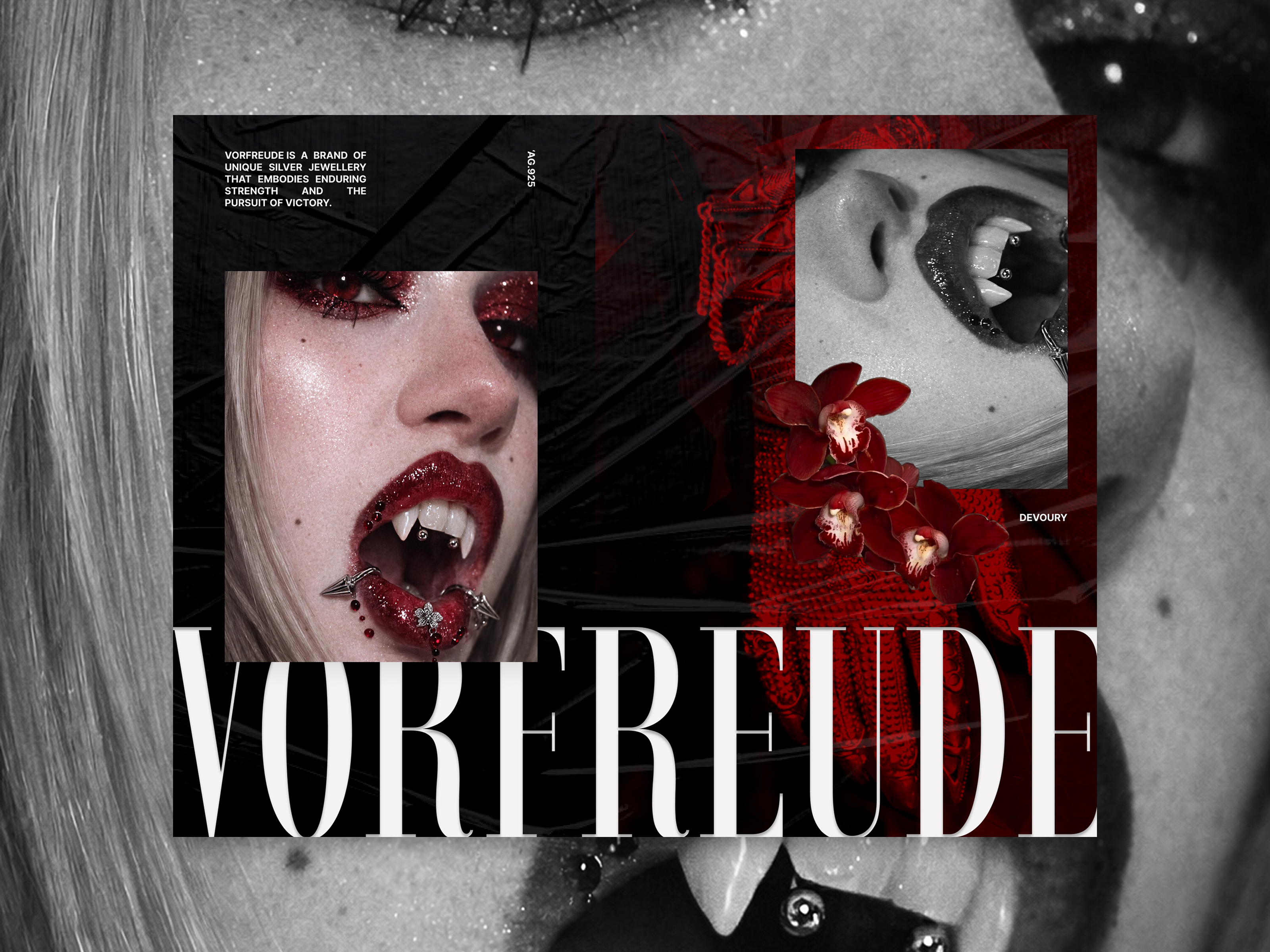 VORFREUDE — VISUAL Campaign / Silver Jewellery artdirection banner banner design brand brand campaign brand identity branding campaign design graphic graphic design jewellery jewelry luxury poster poster design silver ui ux vorfreude