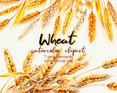 Wheat Watercolor Clipart – Elegant PNG Elements autumn design botanical clipart clipart cottagecore country style creative market cute fall clipart farm clipart floral clipart harvest nature packaging design png elements rustic design seasonal soft neutrals watercolor wedding clipart wheat