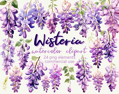Wisteria Flowers Clipart – Elegant Purple Floral PNGs botanical clipart creative market elegant floral florals flower flowers garden illustrations nature png printable purple romantic spring watercolor wedding wisteria