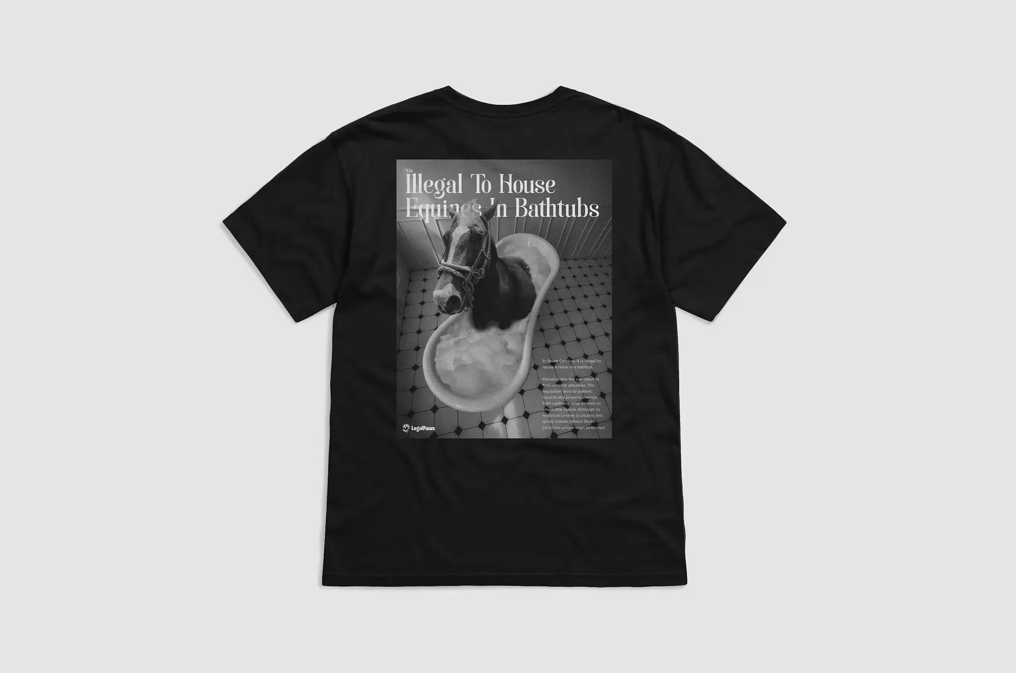 LegalPaws - Strange Laws - South Carolina branding graphic design merchandise south carolina tshirts