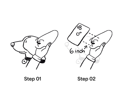 2D Illustrations and Animations for a Pet Care App app care design dog illustration pet product sketch