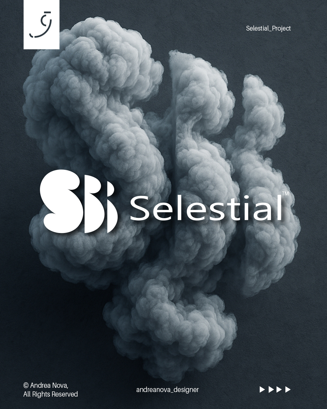 Example of Logo Design Service / Complete Pack