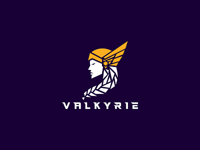 Valkyrie Logo ben naveed branding character design custom logo design branding female warrior heroine logo logo branding mythology nordic norse professional branding strong woman valkyrie valkyrie logo viking viking girl warrior woman winged helmet