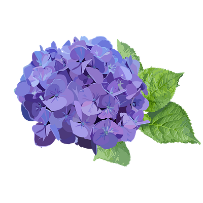 Florals for Spring? adobe creative cloud adobe illustrator art artist digital illustration digital watercolor florals flowers illustration illustrator ipad pro procreate