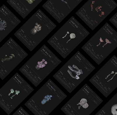 Mushroom Cards branding cards graphic design ui