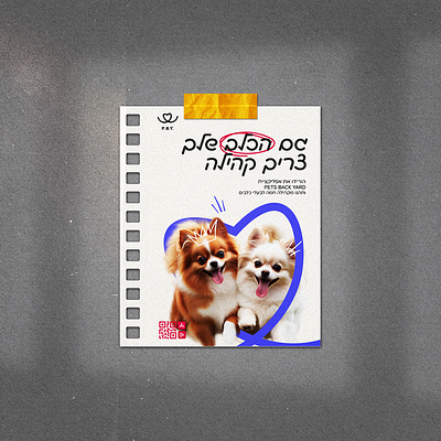 פרסום אפליקציה לבעלי כלבים design graphic design logo