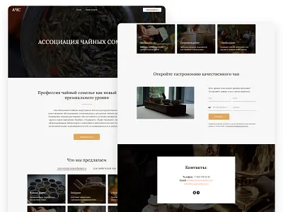 Ассоциация Чайных Сомелье | Landing Page | 2025 branding brown coloristic design graphic design landing page logo minimalistic orange tea typography ui ux