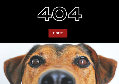 404 Page for dog walking site 404page design dribbble rebound ui ux