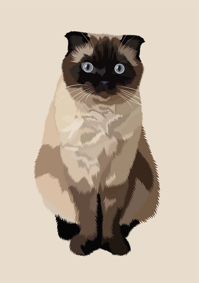 Lilo art cat catart illustration portrait vector
