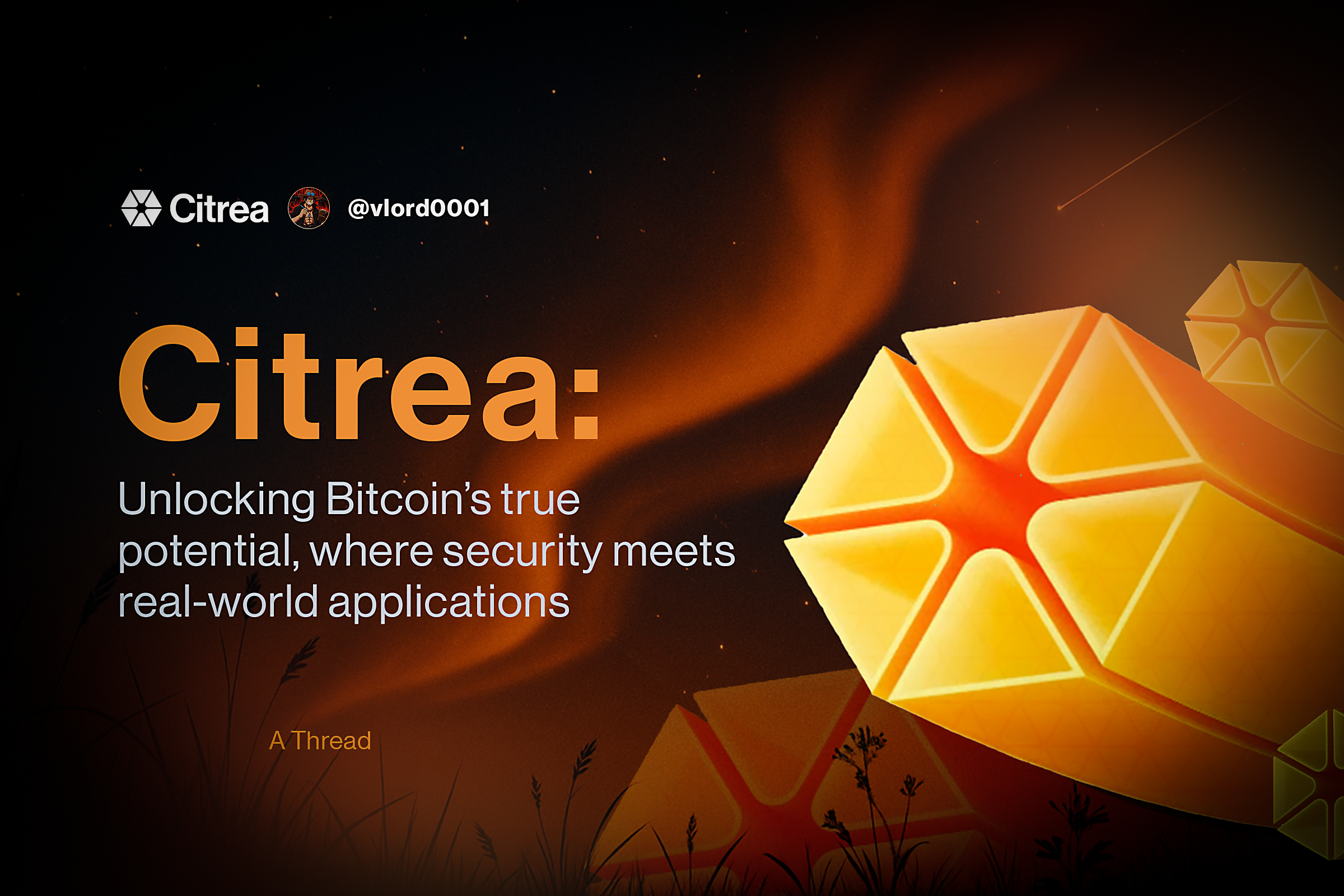 Citrea : Thread Design branding graphic design