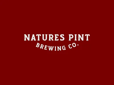 Nature’s Pint Wordmark Design — Amber Lager Branding beer beer branding brand design brand identity brand identity design branding brewery craft beer design earth eco healthy illustration lager logo design logo designer nature organic