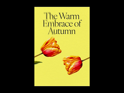 Golden Tulip Autumn Poster Design aesthetic balance autumn style autumn vibes botanical art decorative piece design print digital artwork editorial layout elegant flowers floral design flower concept minimal poster poster poster visual seasonal colors text overlay tulip art typographic poster typography
