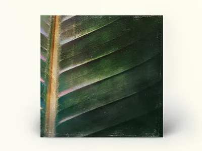 My Lord Vol. 1: Cover Art