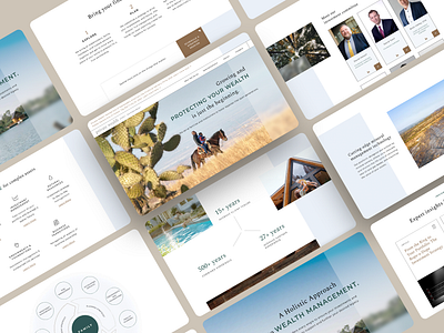 Private Wealth Asset Management - Website blue branding bright clean design finance financial graphic design home page light modern ui ux web design website website design