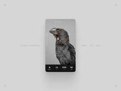 Project Interface 022 - Mobile Camera App camera interface leica raw ui ux widget