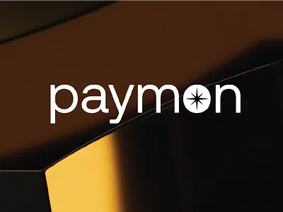 Paymon Finance Custom Branding Kit brand book brand guidelines brand identity brand identity design brand style guide branding branding kit color finance finance branding fintech branding graphic design logo logo design pattern design social media design stationery design visual identity