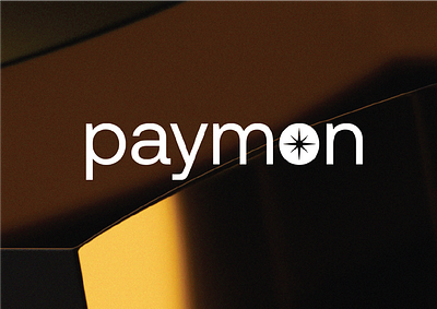 Paymon Finance Custom Branding Kit brand book brand guidelines brand identity brand identity design brand style guide branding branding kit color finance finance branding fintech branding graphic design logo logo design pattern design social media design stationery design visual identity