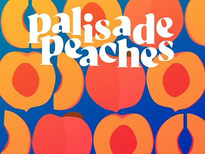 Fruit Posters : Palisade Peaches design event design graphic design illustration poster design typography