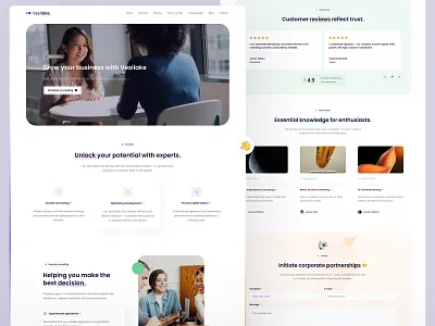 Vesilake | Pro Services - Template #1 agency blog cms concept consultation design landing page minimalist modern portfolio services ui ux web web design webdesign website