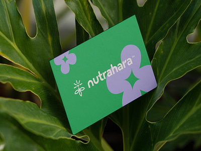 Branding for Nutrahara branding creative design graphic design illustration logo minimal ui ux website
