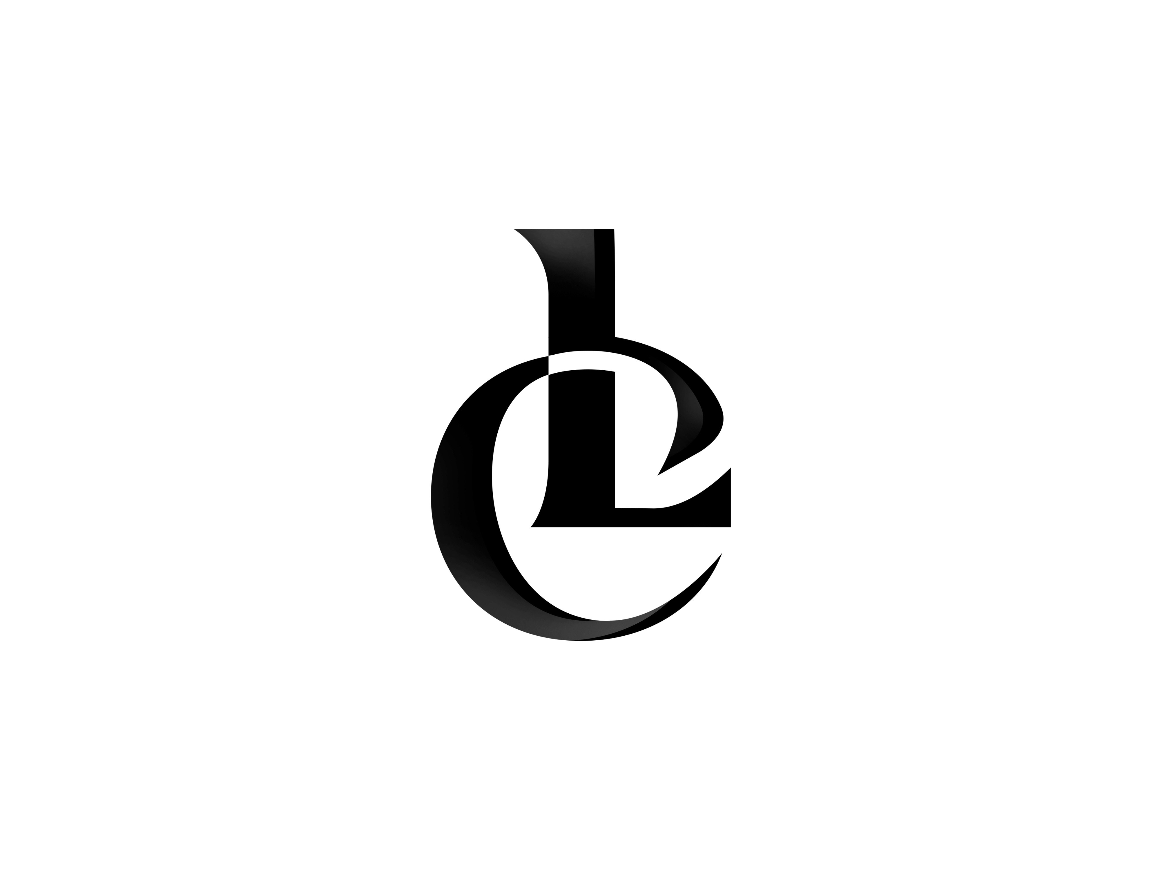 Example of Premium Custom Logo