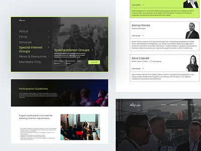 AllyLaw - Website Redesign animation branding conversion design figma graphic design mobile app saas design squarespace ui ui design ux design webflow website website design website redesign wix wordpress